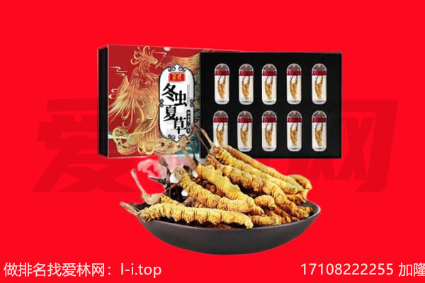 泾阳县回收虫草.jpg